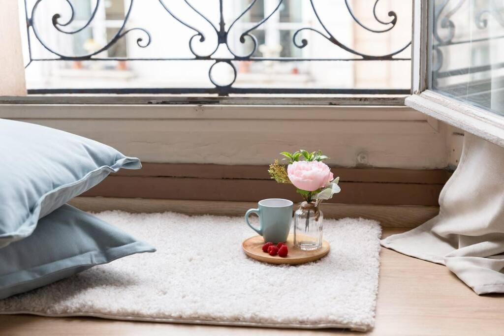 Apartment Le Lumineux 50 M² Gare/chateau/wifi/netflix